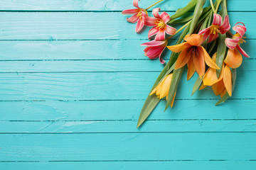 Wall Mural - Background with fresh tulips