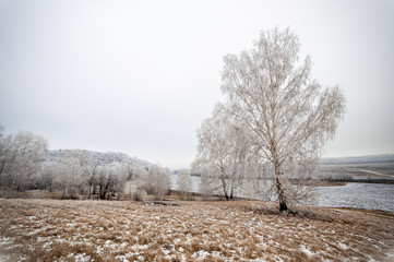 Winter landscape