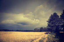 Dark Toned Landscape With Field And Moody Sky