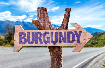 Wall Mural - Burgundy wooden sign with road background