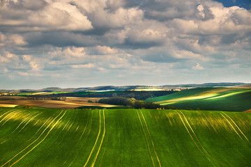 Wall Mural - Hills spring countryside