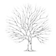 canvas print picture - Baum für Hochzeitspaar mit großer Baumkrone