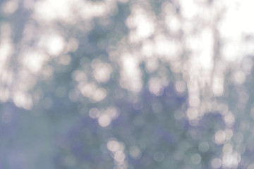 Vintage tone blur nature background