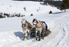 Winter Village Horse Carriage