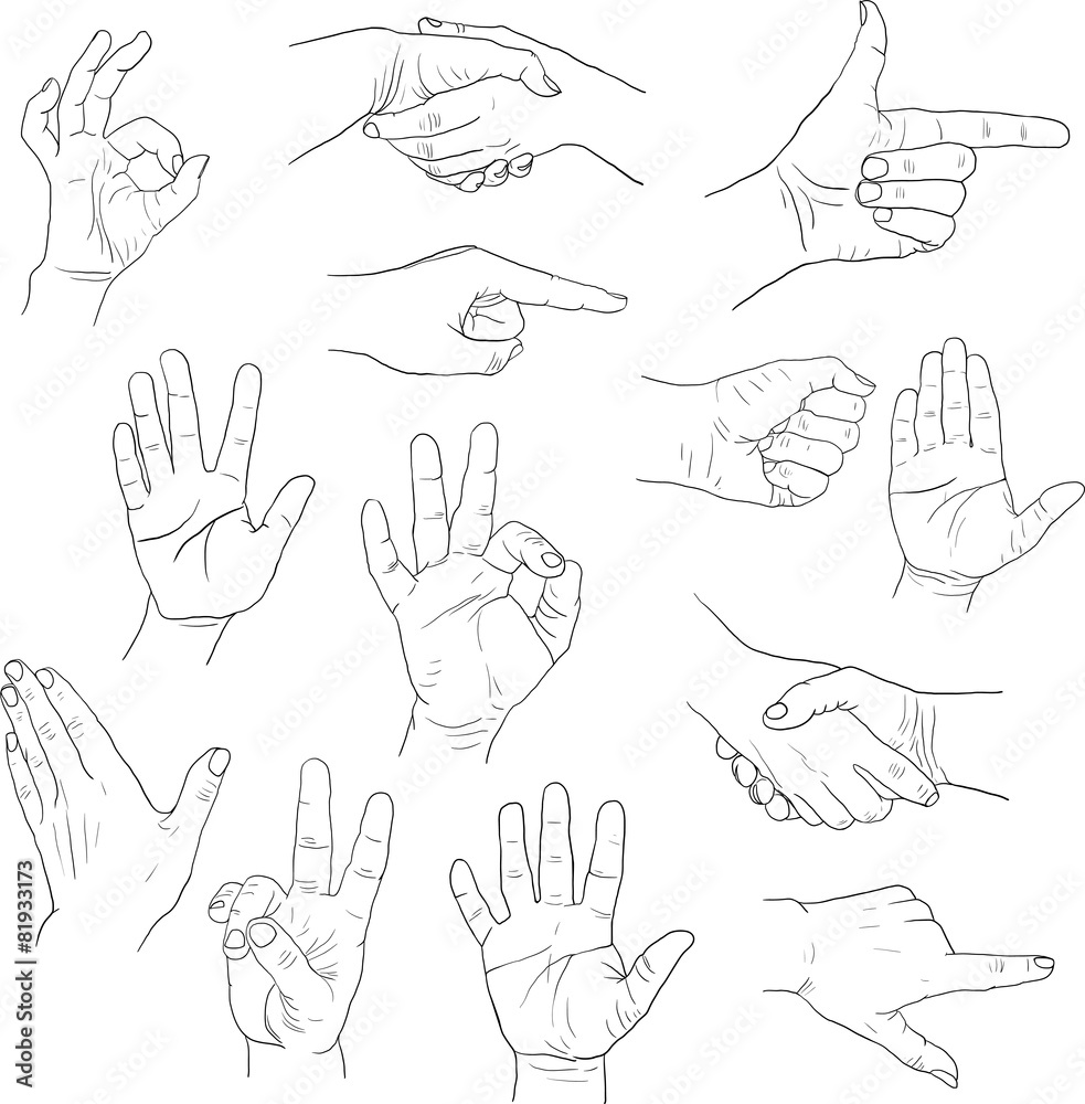 sketch drawing hands Stock Vector | Adobe Stock, image size:983x1000