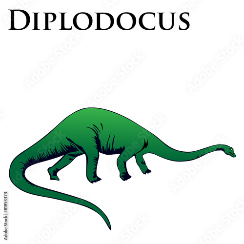 Fotografie, Obraz diplodocus dinosaur colored vector illustration