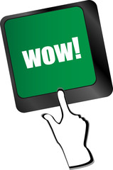 Poster - wow button on computer keyboard key vector
