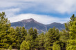 landscape with Humphreys Peak Tallest in Arizona