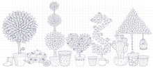 Topiary Landscape Plants Collection  Vector, Set With Trees.