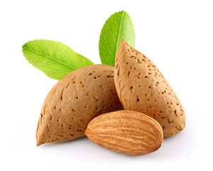 Sticker - Almond