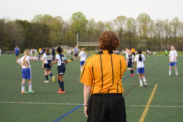 Wall Mural - Offsides