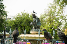Sitting Statue And The Pigeon
