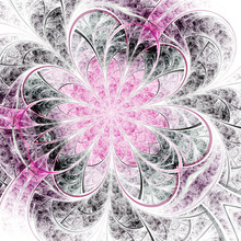 Elegant Black And Pink Fractal Flower, Digital Artwork