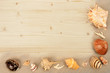 Muscheln mit Hintergrund aus Holz
