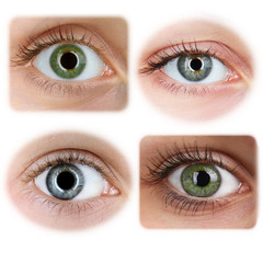 Wall Mural - Collage of beautiful female eyes, isolated on white