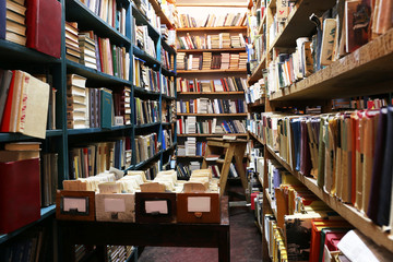 Canvas Print - Many books on bookshelf in library