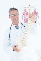 Wall Mural - Doctor holding anatomical spine and smiling at camera