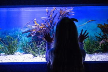 Poster - Young woman touching a fish-tank
