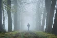 Man Walking In A Mysterious Lane On A Foggy And Dark Morning.