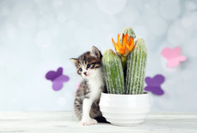 Cute Little Kitten And Cactus On Light Background