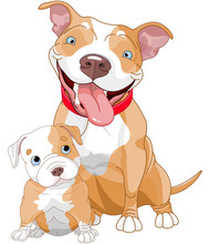 Pit-bull Mother And Cub