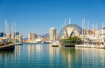 Poster - View of the seaport of Genoa - Italy