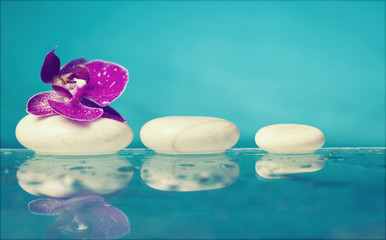 Poster - Spa still life with pink orchid and white zen stone in a serenit