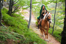 Sexy Woman Warrior On Horseback In The Woods