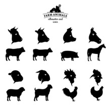 Vector Farm Animals Silhouettes And Icons Isolated On White