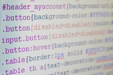 Leinwandbilder - CSS code on monitor