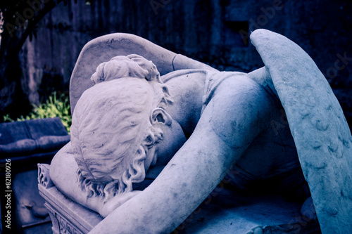 Photographie  Dolore