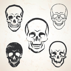 Wall Mural - skull vector sketches set in different styles