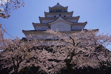 Wall Mural - 鶴ヶ城　天守閣