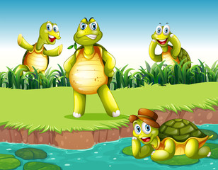 Wall Mural - Turtles