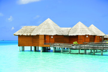 Wall Mural - Water villas over blue ocean in Baros Maldives