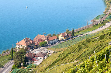 Lavaux region