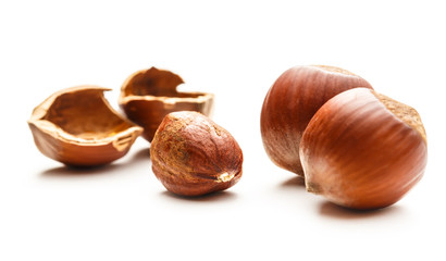 Wall Mural - Fresh brown hazelnut