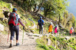 A group of people trekking through a scenic trail