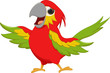 happy macaw bird cartoon