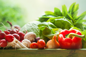 Wall Mural - fresh organic vegetables