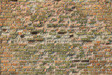 Fototapeta Do pokoju - Brick wall texture