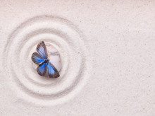 A Blue Vivid Butterfly On A Zen Stone With Circle Patterns In Th