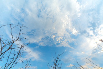Poster - clouds in the blue sky