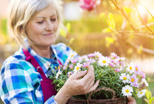 Beautiful Senior Woman Planting Flowers In Her Garden