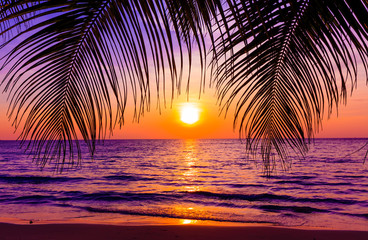 Wall Mural - Beautiful sunset.  Sunset over the ocean with tropical palm tree