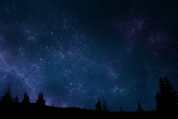 Wall Mural - night sky with trees