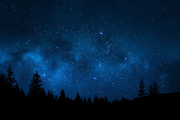 Wall Mural - night sky with trees