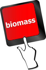 Poster - Keyboard keys with biomass word button vector