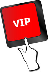 Poster - VIP written button keys on computer keyboard vector