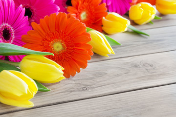 Wall Mural - Gerbera und Tulpen